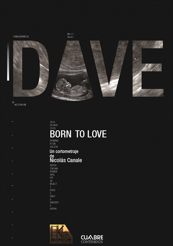 Dave corto provida